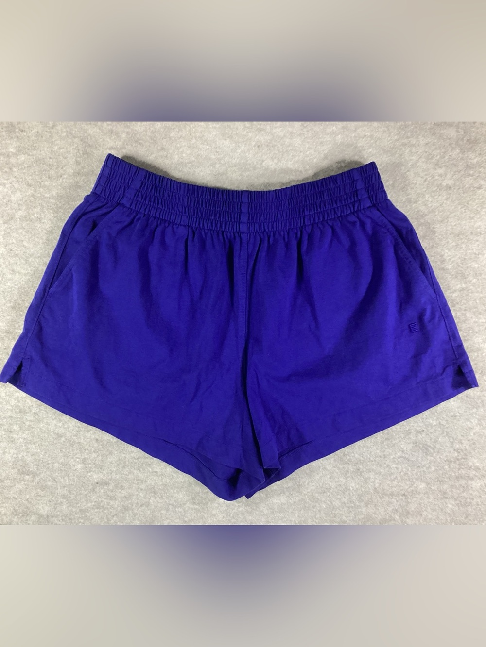 Everlane Electric Indigo Athletic Shorts